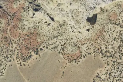 Camp site