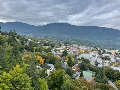 Nelson from Gyro Park