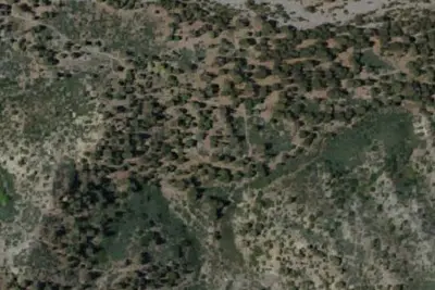 Lupine Campground