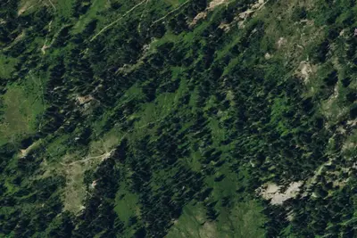 Snowgrass Flat