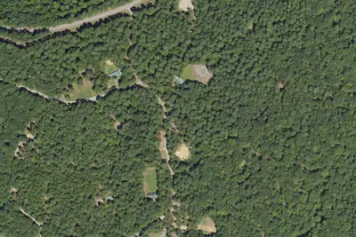 Long Leaf Campsite