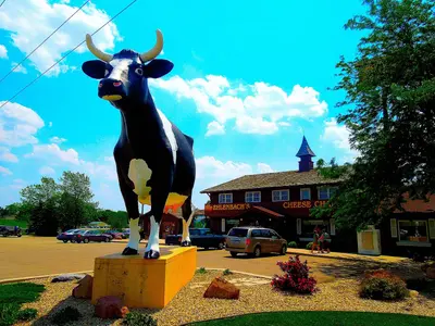Sissy the Cow at Ehlenbach's Cheese Chalet - panoramio