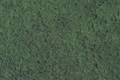 Camp site