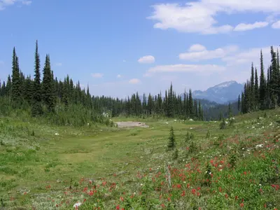 Jade Lakes Campground