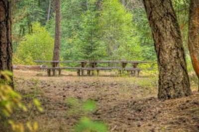 Sawmill Flat