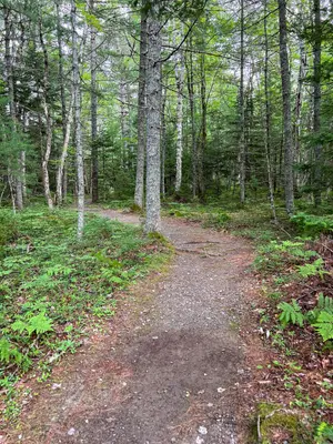 Big Dam Lake Trail - Kejimkujik National Park 5