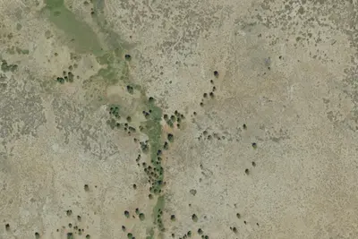Camp site