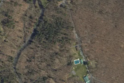 Cayuga
