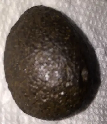 Half Pecan Nut Shaped Rock - Round Side Up