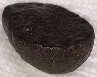 What is This? Half Pecan Nut Shaped Rock - Flat Surface