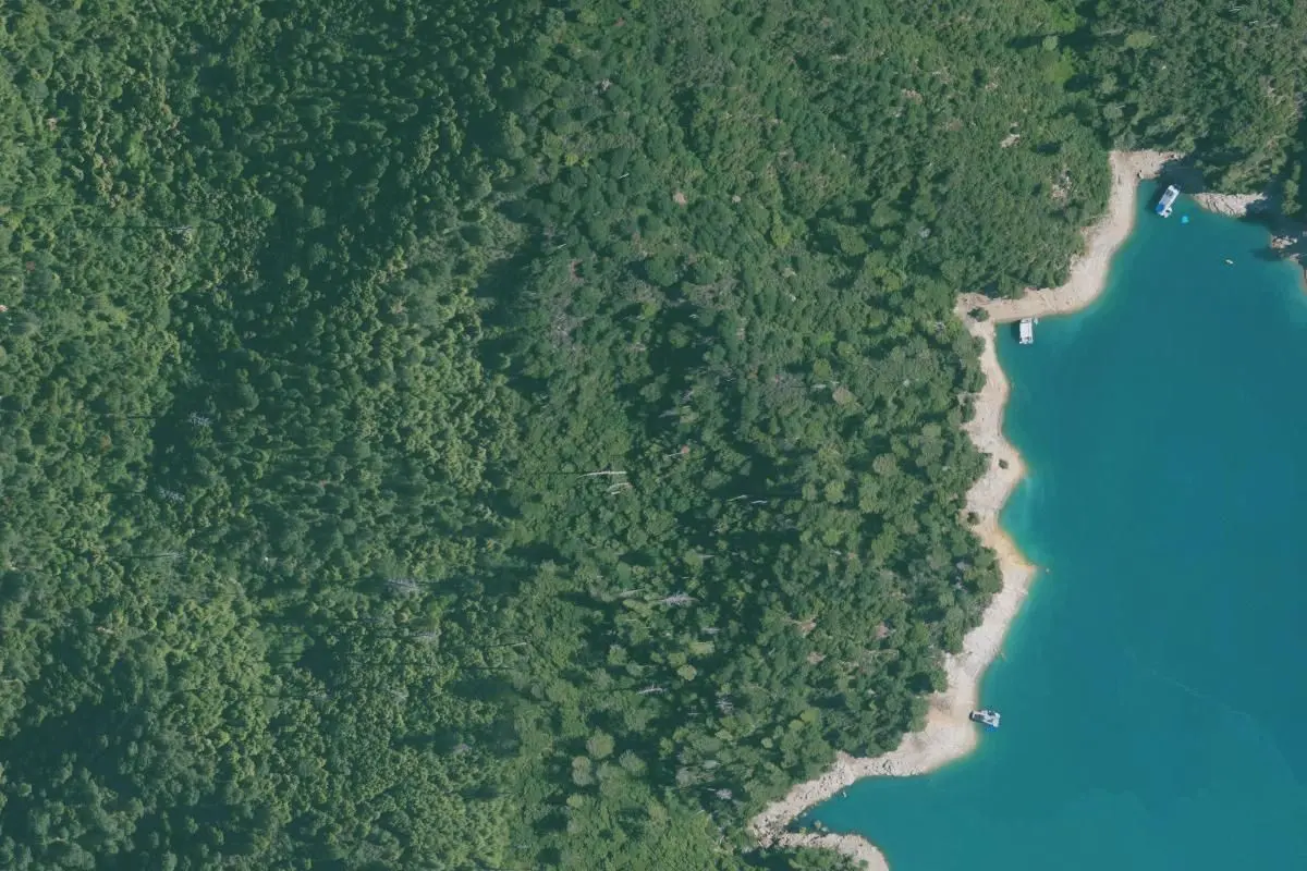 Aerial view