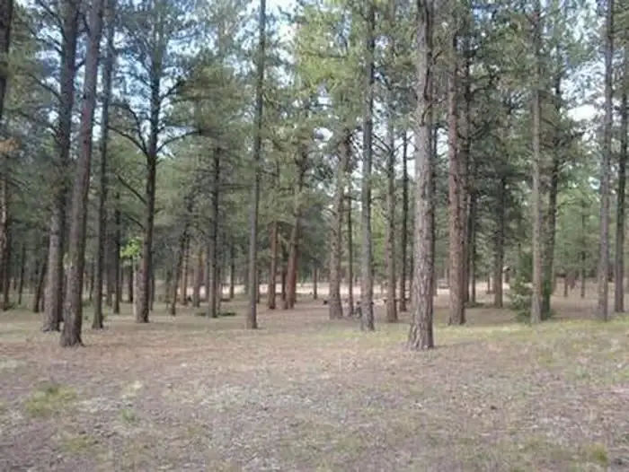 Red Rocks Group Campground