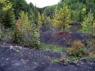 Coal mine waste piles at Saunders Creek, Alberta