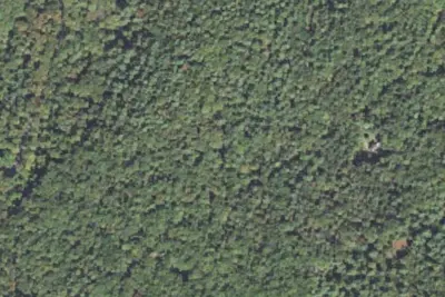 Corl's Road - Michaux Campsite #16