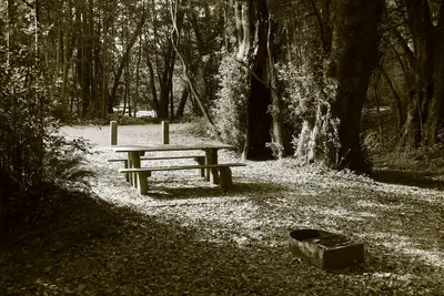 Solitary picnic table in the Alfred A. Loeb State Park day use area
