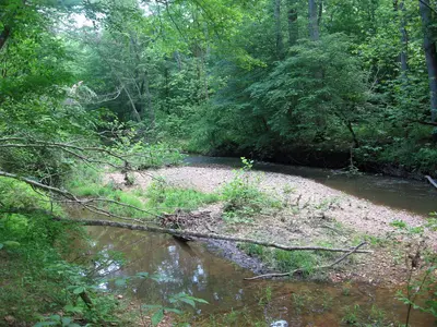 South Fork Quantico Creek PRWI