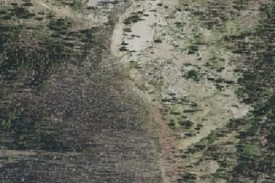 Camp site