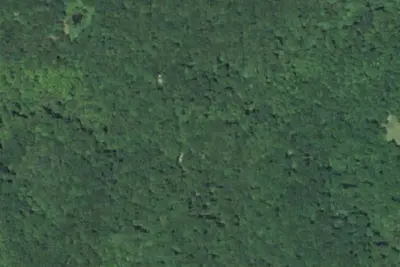 Camp site
