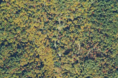Helen, GA Site 6