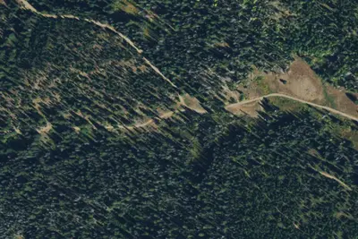 Camp site