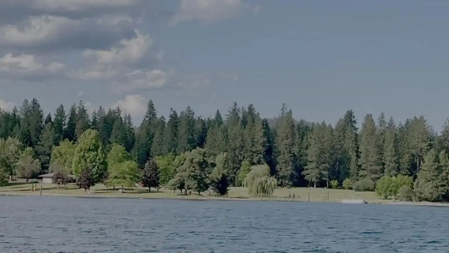 View of Riley Creek shore.