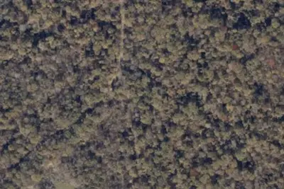 Hunt Camp 11