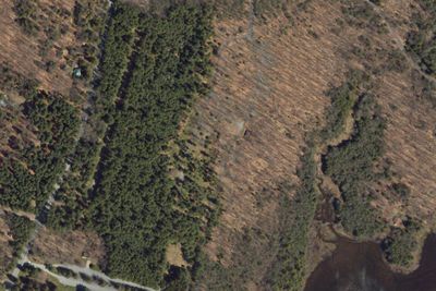 Pines Camground