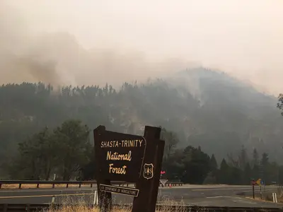 Helena Fire (39000000822)