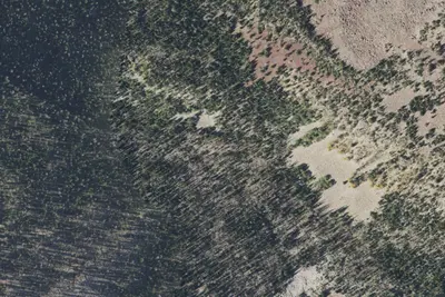 Camp site