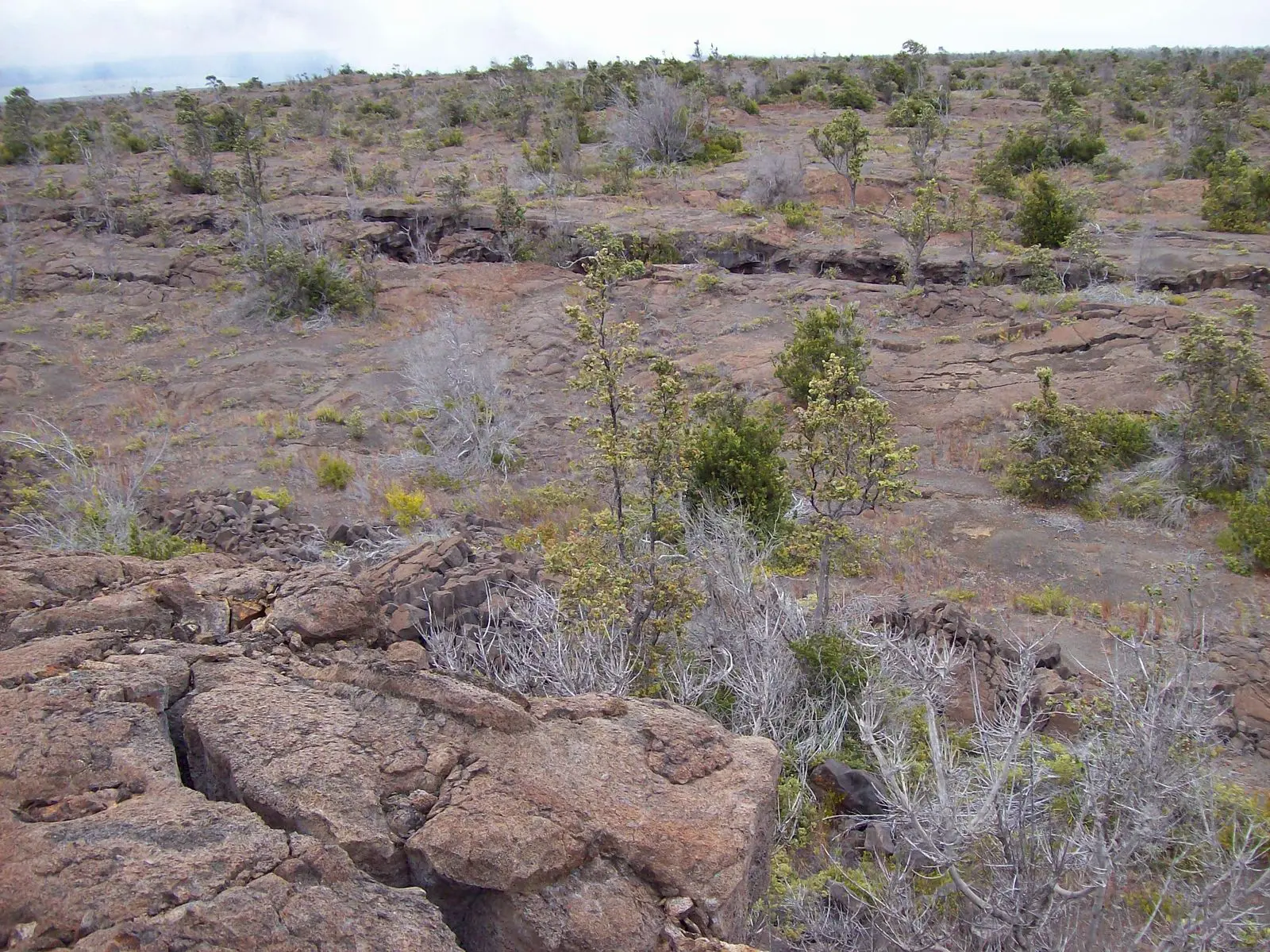 Photo of Kulanaokuaiki
