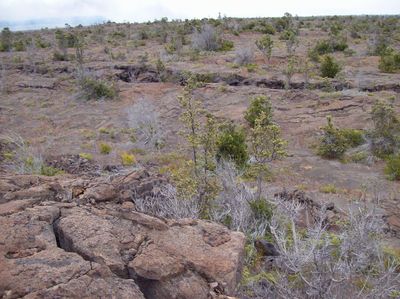 Kulanaokuaiki Campground