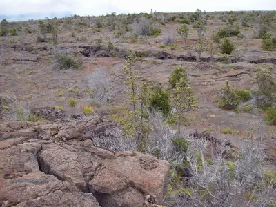 Kulanaokuaiki