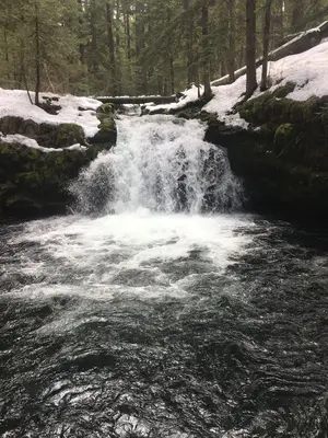 Clearwater river, Oregon