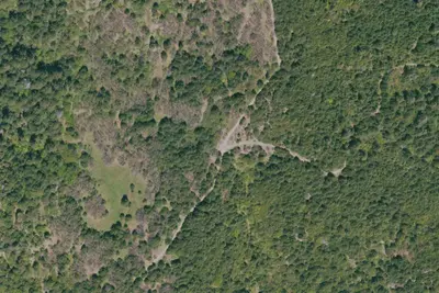 Camp site
