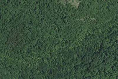 Camp site