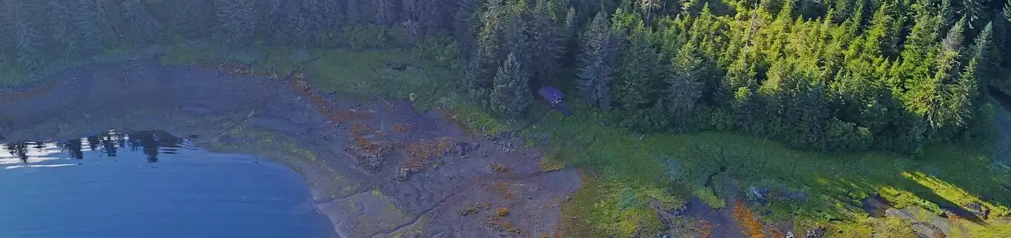 Appleton cove cabin2