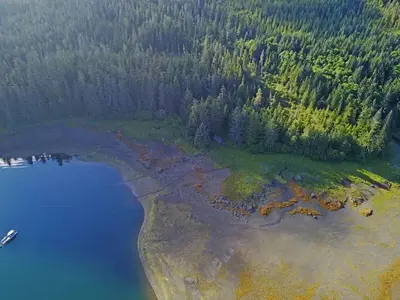 Appleton cove cabin4