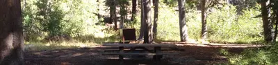 Agnew Horse Camp