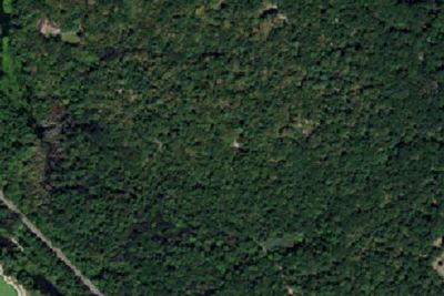 Pine Hill Reservation — BSA