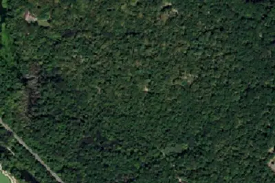 Pine Hill Reservation — BSA