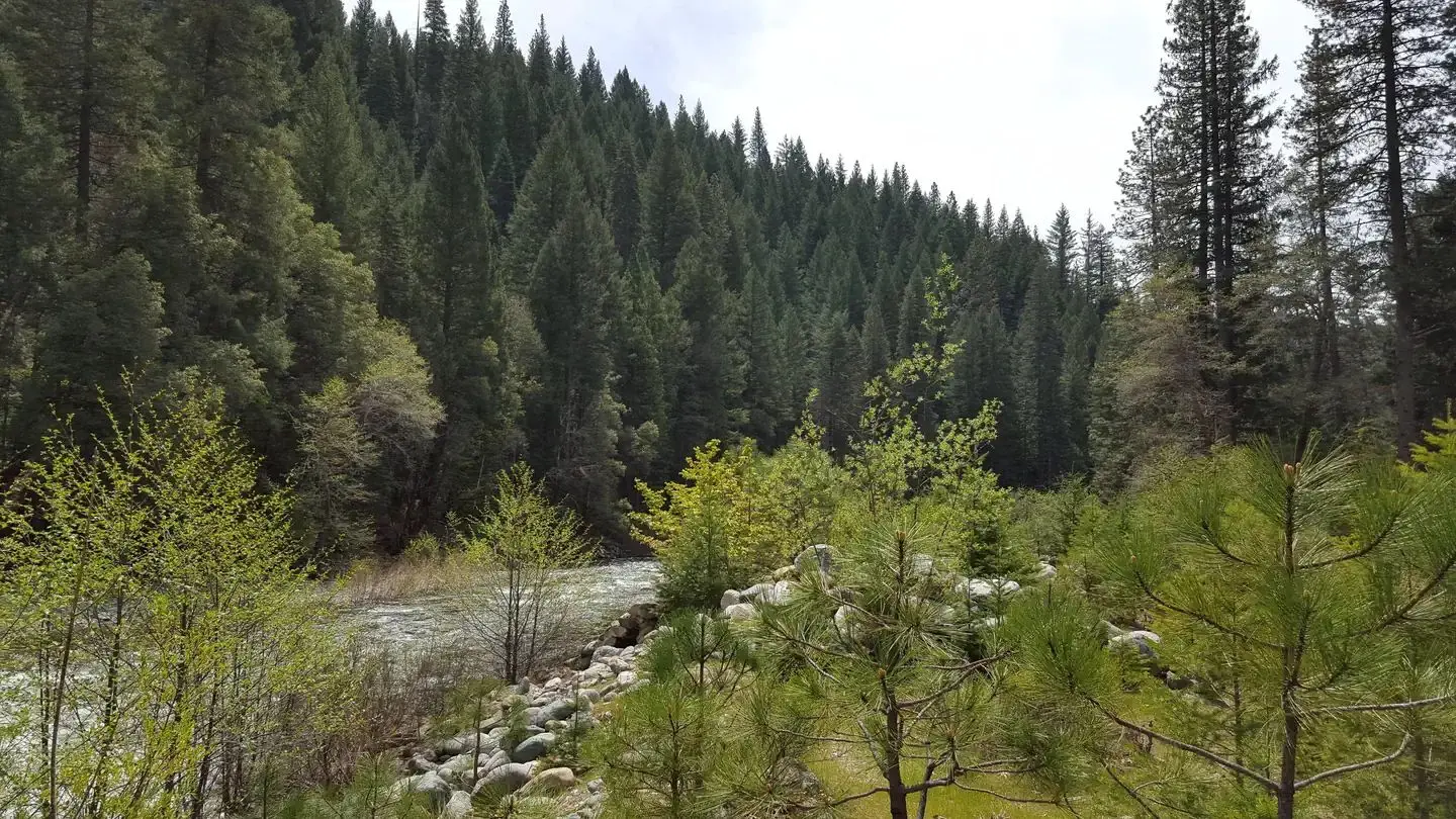 North Fork Yuba River