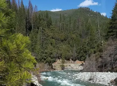 N. Yuba