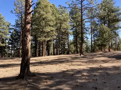 Example of a Designated Dispersed Site (camping area sizes vary)