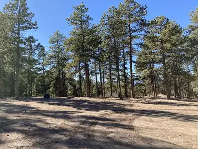 Example of a Designated Dispersed Site (camping area sizes vary)