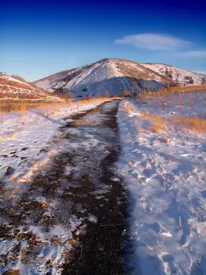 Flickr - Nicholas T - Route
