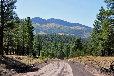 Backside of Peaks from FR 151 (3972199666)