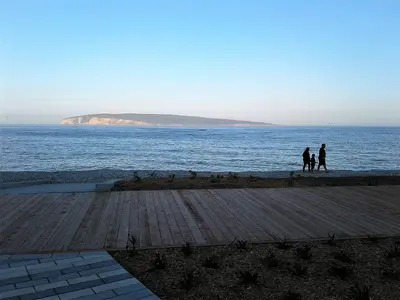 Littoral de l anse du Sud - 22