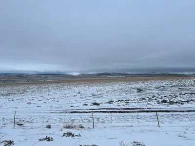 Blue Mountains behind Charles Reynolds Rest Area