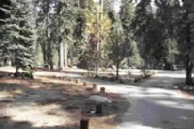 Stony Creek Sequoia