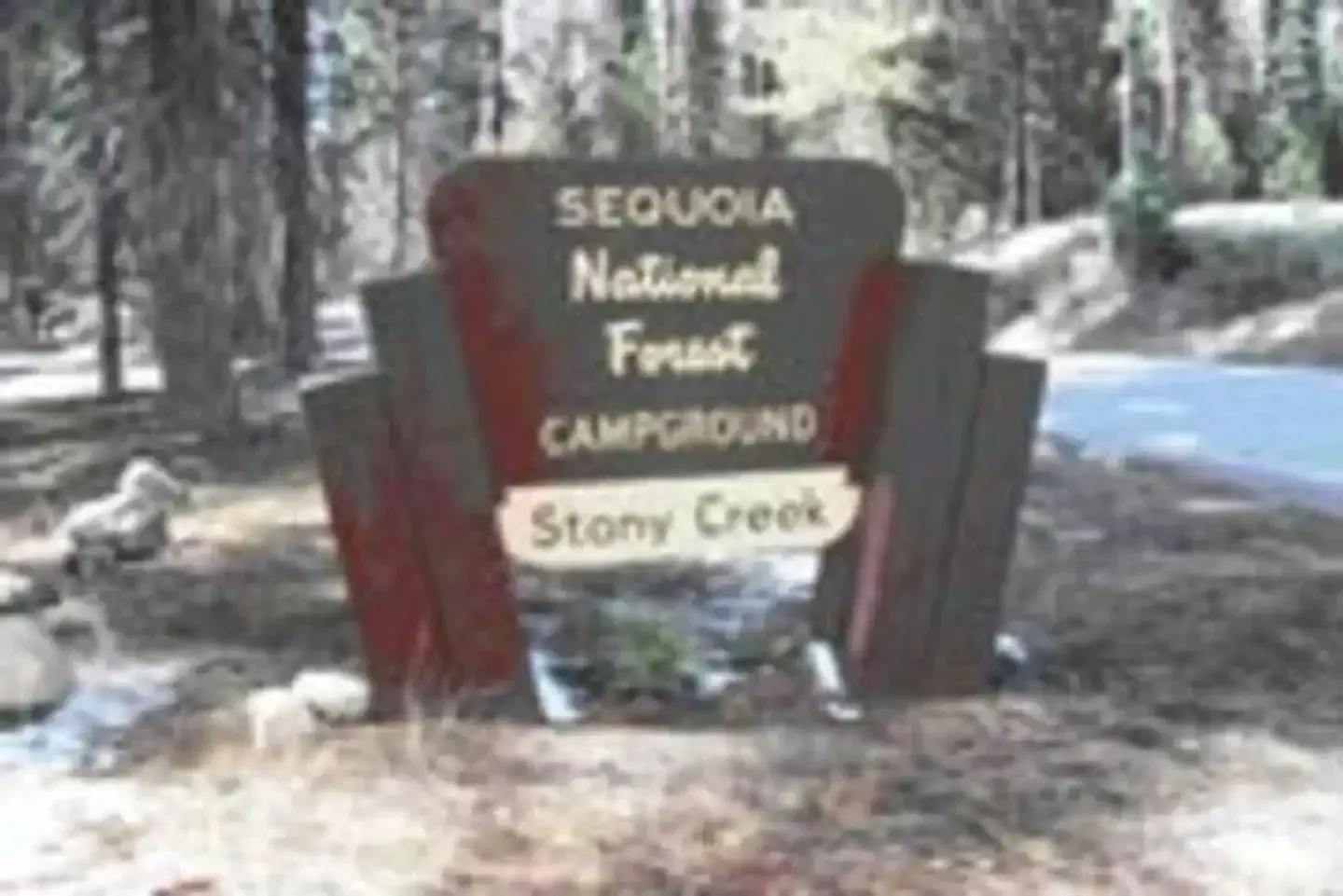 Stony Creek Sequoia